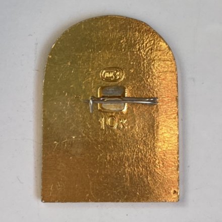 Значок. Фенист ясно солнышко