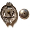Знак заслуженный деятель искусств. РФ (копия)