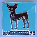 Значок. Серия собаки. Той терьер (голубой фон)