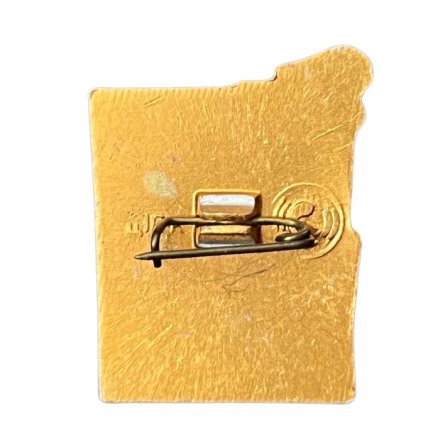 Значок Школа 8 класс. Факел и циркуль