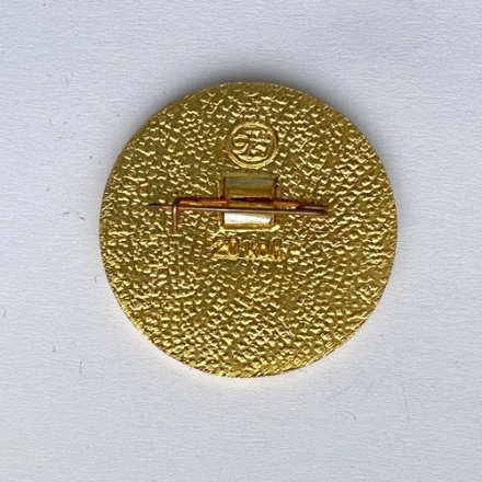 Значок. Советские хоккеисты чемпионы мира и Европы. Дюссельдорф 1975