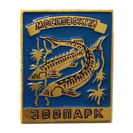 Значок Московский Зоопарк. Осетровые рыбы