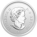 Набор из 6 монет Канада 2018 год - Роющая сова