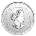 Набор из 6 монет Канада 2018 год - Роющая сова