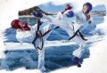 Китай 10 юаней 2008 год - Олимпиада в Пекине. Тхэквондо (в буклете)