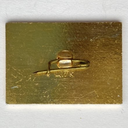 Значок. Спорт. Лыжный спорт. г.Раубичи