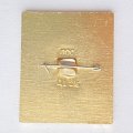 Значок. Тебердинский заповедник. Кабан