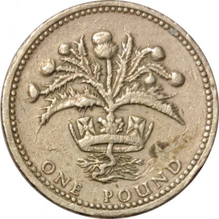 Великобритания 1 фунт 1984 год - Чертополох-эмблема Шотландии (никель-латунь)