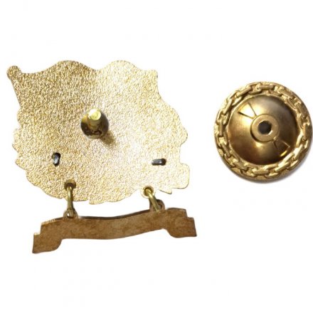 Знак За дальний поход. ПСКР &quot;Петропавловск-Камчатский&quot;