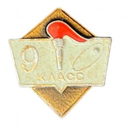 Значок Школа 9 класс. Факел