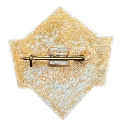 Значок Школа 9 класс. Факел