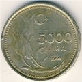 Турция 5000 лир 1993 год