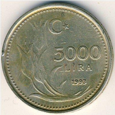 Турция 5000 лир 1993 год