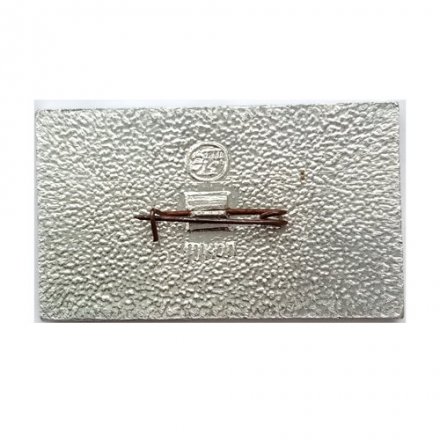 Значок История авиации в СССР. Самолет Григорович М-20, 1916 г.