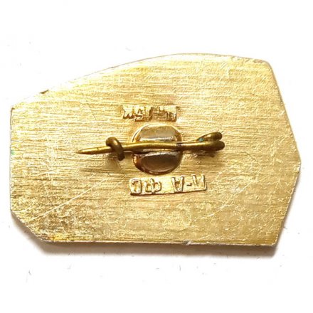 Значок Чита столица ДВР 1920-1922