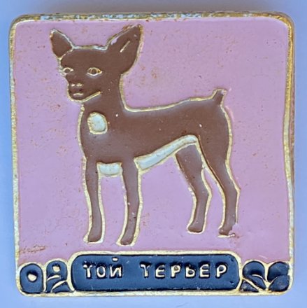 Значок. Серия собаки. Той терьер (розовый фон)