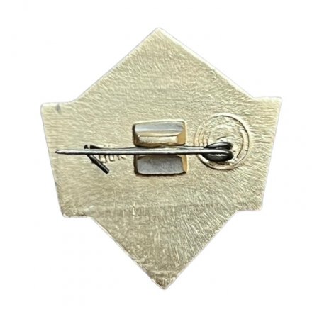 Значок Школа 10 класс. Факел