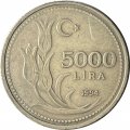 Турция 5000 лир 1994 год
