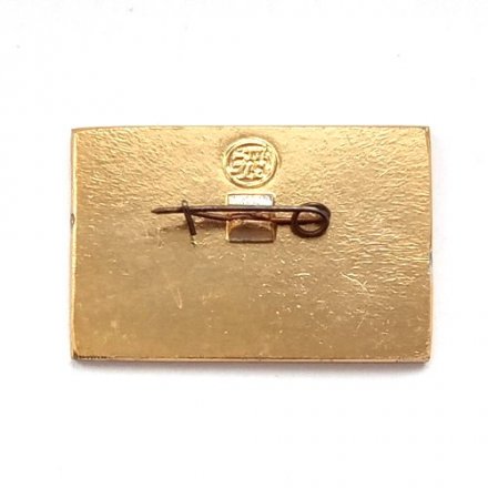 Значок Авиация СССР. ТУ-14 1949 г.