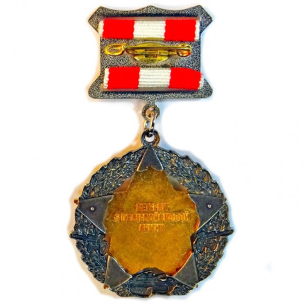 Знак на колодке. Ветеран 6 общевойсковой армии. 60 лет. За честь и славу Отечества.