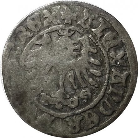 Польское Королевство 1/2 гроша Александр I Ягеллончик (1501-1506) - F