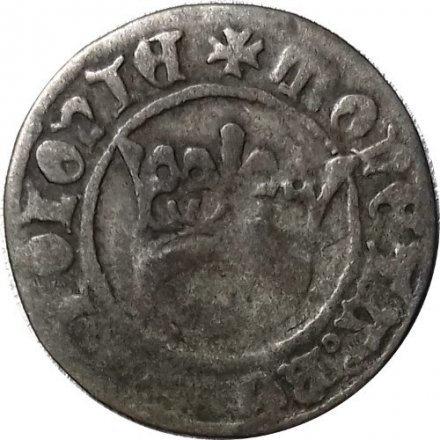 Польское Королевство 1/2 гроша Александр I Ягеллончик (1501-1506) - F