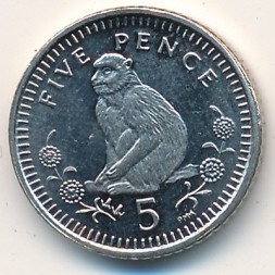 Монета Гибралтар 5 пенсов 2000 год - Берберская обезьяна (Магот)