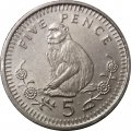 Гибралтар 5 пенсов 2000 год - Берберская обезьяна (Магот)