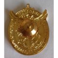 Знак &quot;Ветеран боевых действий на Северном Кавказе&quot;