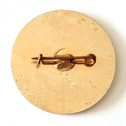 Значок Стекольный завод М. Вишера 1881-1981