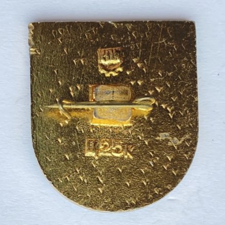 Значок. ФК Карпаты Львов