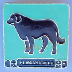 Значок. Серия собаки. Ньюфаундленд (зеленый фон)