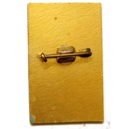 Значок Семиречье. 1967 (орден Ленина)