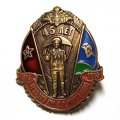 Знак 45 лет выпуска РГВВДКУ им. В. Ф. Маргелова (на цанге)