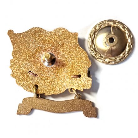 Знак Морские силы ПВ. ПСКР &quot;Ладога&quot;