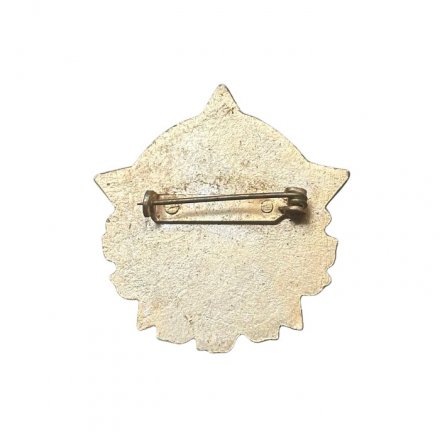 Значок Чехословакия. Lide bdete! Юлиус Фучик