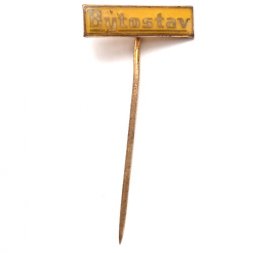 Значок-иголка Фирма Bytostav