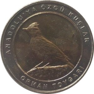 Турция 1 куруш 2019 год - Лесной жаворонок (кольцо серого цвета)
