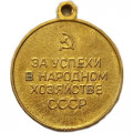 Медаль СССР ВДНХ (Выставка достижений народного хозяйства). За успехи в народном хозяйстве (без колодки)