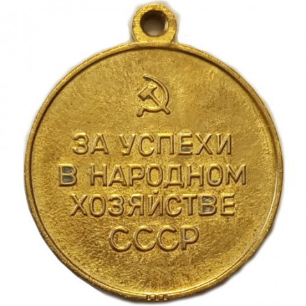 Медаль СССР ВДНХ (Выставка достижений народного хозяйства). За успехи в народном хозяйстве (без колодки)
