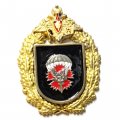 Знак Бр. СпН.  Спецназ. Сова