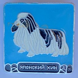 Значок. Серия собаки. Японский хин (голубой фон)