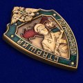 Знак РФ &quot;Старший пограннаряда&quot;
