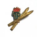 Значок Пионерия. ГДР Спорт. ТР Золотые лыжи. 1 ступень