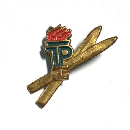 Значок Пионерия. ГДР Спорт. ТР Золотые лыжи. 1 ступень