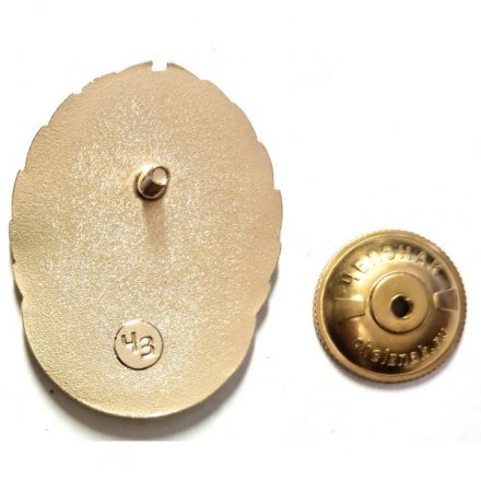 Знак выпускника Донецкого военного лицея, ДНР