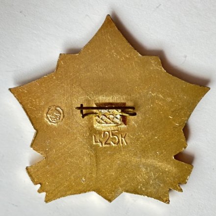 Значок. Партизанам - слава!