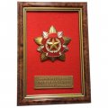 Знак (плакетка) Санкт-Петербургский клуб ветеранов Генералов и Адмиралов