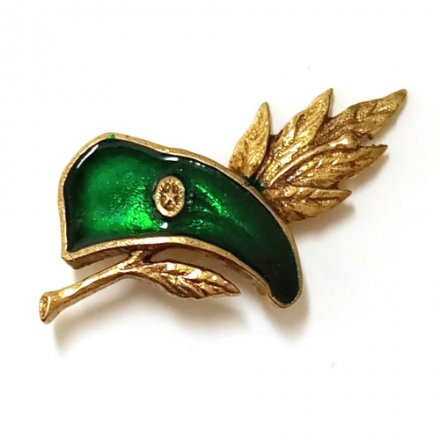 Знак ВДВ. Берет (зеленый)