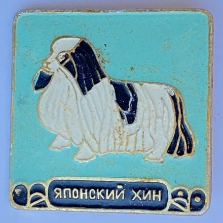 Значок. Серия собаки. Японский хин (зеленый фон) 